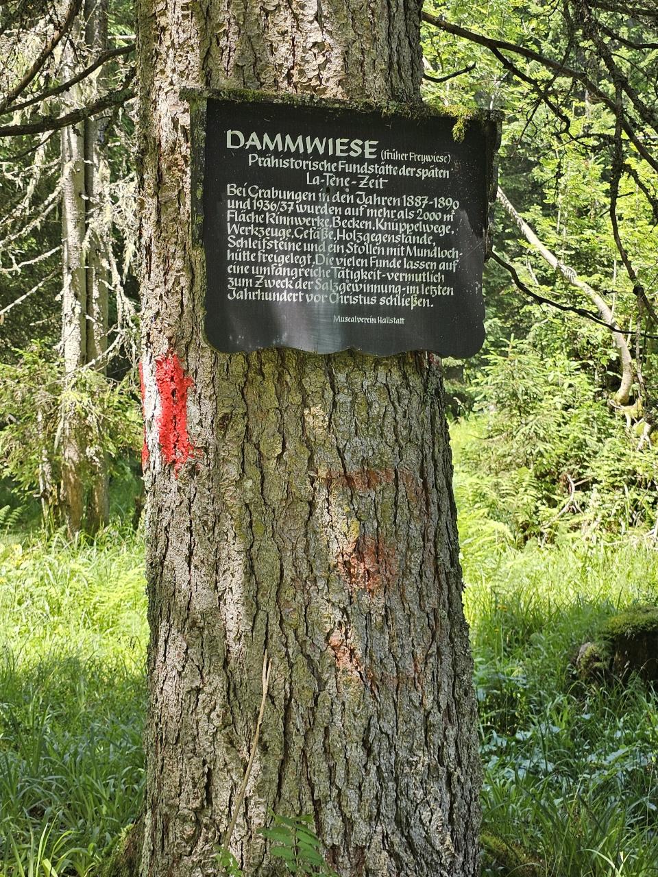  Dammwiese Monumenterklärung 