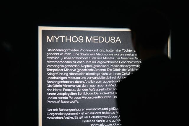8 - 25_12_02_Medusa_Hallstatt_PreOpening-54.jpg