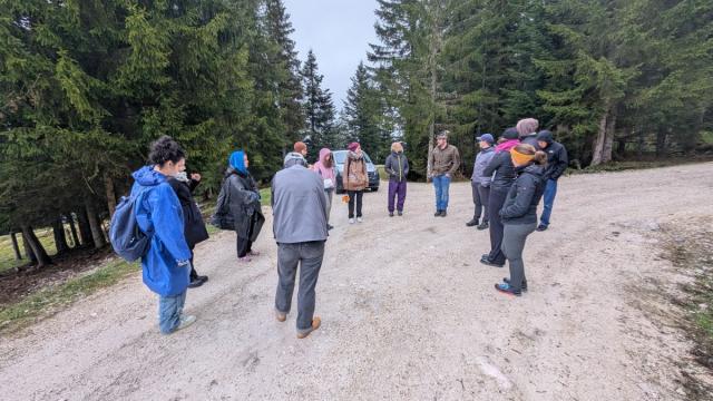 Cultural Spaces 2025 Karl Posch