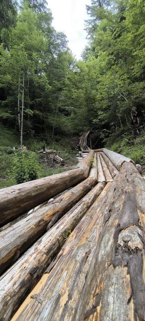 Wanderung ins Welterbe 19.4.2026